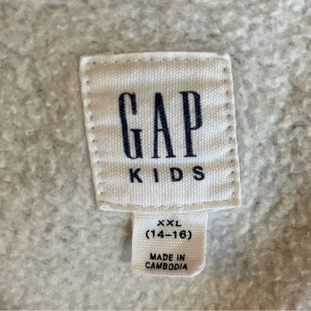 EUC GAP Kids Hoodie with Snow Capped Mountains
